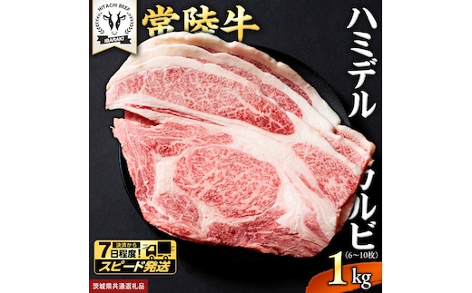 【 スピード発送 】【 常陸牛 】A5 等級 ハミデルカルビ 1kg (6～10枚) ひたちぎゅう ブランド牛 カルビ 国産牛 黒毛和牛 和牛 国産黒毛和牛 お肉 A5ランク 高級 BBQ パーティ (茨城県共通返礼品) [BX128-NT-sp]