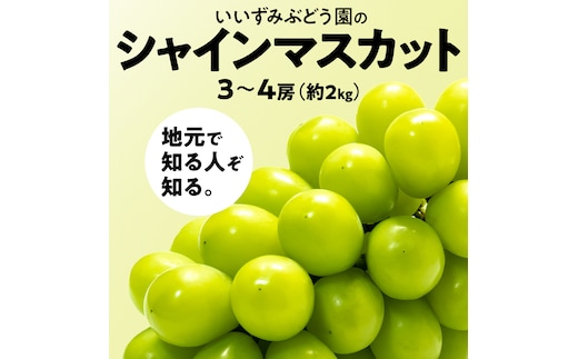 【 先行予約 ・ 数量/期間限定 】 シャインマスカット 3～4房（約2kg ） ブドウ ぶどう マスカット 種なし 皮ごと フルーツ 果物 くだもの 産直 新鮮 採れたて [CQ05-NT]