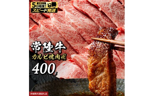【 スピード 発送 】 常陸牛 焼肉 カルビ 400g (茨城県共通返礼品) 牛肉 牛 肉 焼き肉 焼肉用 黒毛和牛 和牛 霜降り お肉 国産 国産牛 ブランド牛 A4 A5 冷凍 バーベキュー BBQ ギフト 贈答 [BX04-NT-sp]