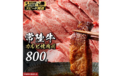 【 スピード 発送 】 常陸牛 焼肉 カルビ 800g (茨城県共通返礼品) 牛肉 牛 肉 焼き肉 焼肉用 黒毛和牛 和牛 霜降り お肉 国産 国産牛 ブランド牛 A4 A5 冷凍 バーベキュー BBQ ギフト 贈答 [BX133-NT-sp]