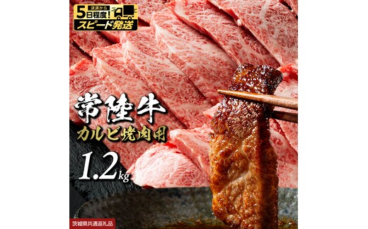  【 スピード発送 】常陸牛 焼肉用カルビ 1.2kg (茨城県共通返礼品) ひたちぎゅう カルビ焼肉 牛肉 肉 お肉 精肉 国産牛 ブランド牛 和牛 カルビ 牛カルビ 使い勝手 冷凍 焼肉 BBQ アウトドア キャンプ [BX148-NT-sp]