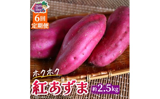 紅あずま 約2.5kg （6回 定期便 ）（茨城県共通返礼品 [さつまいも]：行方市産） 6か月定期便 定期便 さつまいも サツマイモ べにあずま 芋 いも 野菜 根菜 茨城県産 お取り寄せ 野菜 根菜 いも [FC88-NT]