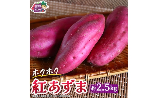 紅あずま 約 2.5kg （茨城県共通返礼品 [さつまいも]：行方市産） さつまいも サツマイモ べにあずま 芋 いも 野菜 根菜 茨城県産 お取り寄せ 野菜 根菜 いも [FC86-NT]