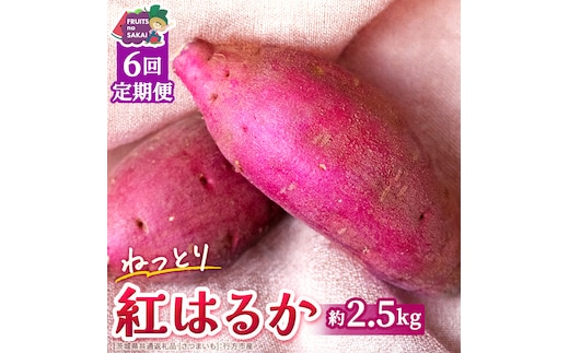 紅はるか 約 2.5kg （6回 定期便 ）（茨城県共通返礼品 [さつまいも]：行方市産） べにはるか 6か月定期便 定期便 べにはるか さつまいも 生芋 芋 サツマイモ 甘い 焼き芋 スイートポテト ねっとり 茨城県産 お取り寄せ 野菜 根菜 いも [FC85-NT]