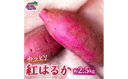 紅はるか 約 2.5kg （茨城県共通返礼品 [さつまいも]：行方市産） べにはるか さつまいも 生芋 芋 サツマイモ 甘い 焼き芋 スイートポテト ねっとり 茨城県産 お取り寄せ 野菜 根菜 いも [FC83-NT]