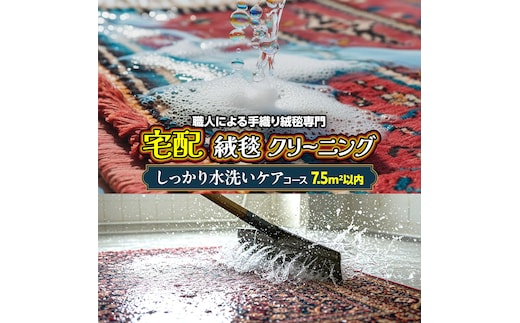 宅配 絨毯 クリーニング チケット │ しっかり水洗いケアコース（7.5平米以内）約250cm×300cm 宅配 クリーニング 洗濯 洗浄 清潔 じゅうたん ラグ カーペット 丸洗い マット ニオイ対策 大掃除 ダニ 対策 敷物 [BP300-NT]