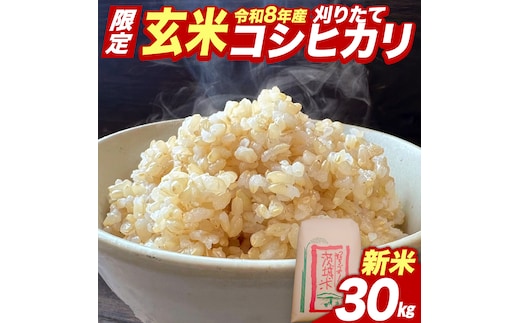 ★新米 先行予約★ 令和8年産 コシヒカリ 玄米 30kg 茨城県つくばみらい市産 ｜ 米 コメ 単一米 コスパ 茨城県産 国産 単一原料米 こしひかり お米 [CL367-NT]