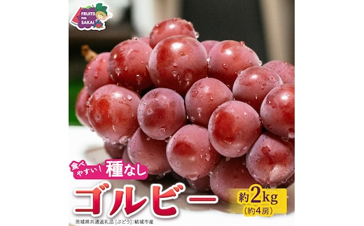 ゴルビー 約2kg(約4房)【2026年9月より発送開始】（茨城県共通返礼品 [ぶどう]：結城市産） ぶどう 赤ぶどう 高級 希少品種 大粒 甘い 果物 フルーツ 旬 [FC115-NT]