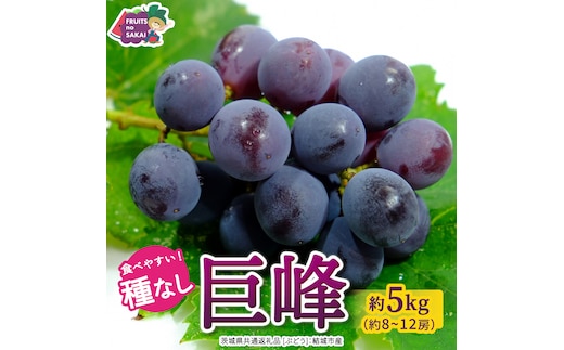 種なし 巨峰 約5kg(約8～12房)【2026年7月より発送開始】（茨城県共通返礼品 [ぶどう]：結城市産） ぶどう 種なし巨峰 フルーツ デザート 果物 食べやすい 旬 [FC113-NT]