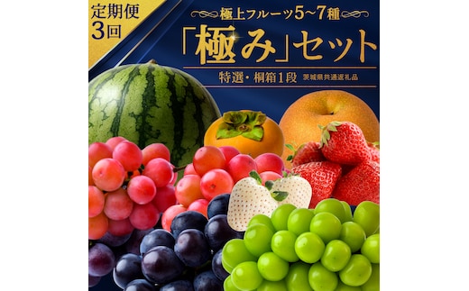 【定期便】 毎月1回連続3か月(計3回)【特選・桐箱1段】極上フルーツ5～7種「極み」セット（茨城県共通返礼品） 田舎の頑固おやじが厳選！ 人気 厳選 果物 くだもの 旬 旬の果物 旬のフルーツ 上級品 極上 贅沢 極み フルーツ フルーツセット ギフト プレゼント 贈り物 冷蔵 [BI488-NT]