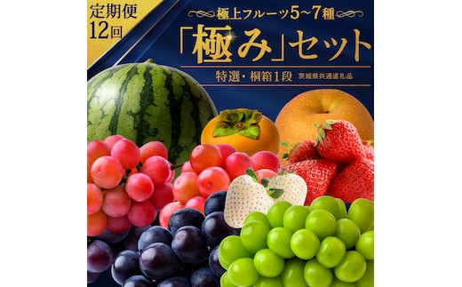 【定期便】 毎月1回1年コース(計12回)【特選・桐箱1段】極上フルーツ5～7種「極み」セット（茨城県共通返礼品） 田舎の頑固おやじが厳選！ 人気 厳選 果物 くだもの 旬 旬の果物 旬のフルーツ 上級品 極上 贅沢 極み フルーツ フルーツセット ギフト プレゼント 贈り物 冷蔵 [BI486-NT]