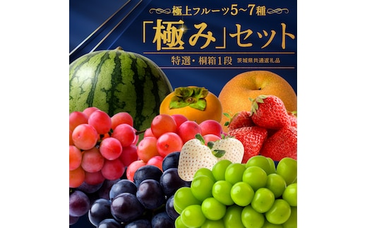 【特選・桐箱1段】極上フルーツ5～7種「極み」セット（茨城県共通返礼品） 田舎の頑固おやじが厳選！ 人気 厳選 果物 くだもの 旬 旬の果物 旬のフルーツ 上級品 極上 贅沢 極み フルーツ フルーツセット ギフト プレゼント 贈り物 冷蔵 [BI485-NT]