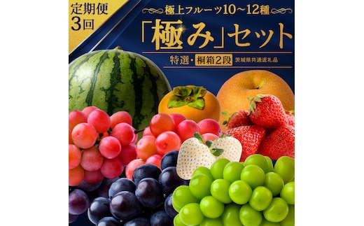 【定期便】 毎月1回連続3か月(計3回)【特選・桐箱2段】極上フルーツ10～12種「極み」セット（茨城県共通返礼品） 定期便 頒布会 田舎の頑固おやじが厳選！ 人気 厳選 果物 くだもの 旬 旬の果物 旬のフルーツ 上級品 極上 贅沢 極み フルーツ フルーツセット ギフト プレゼント 贈り物 冷蔵 [BI484-NT]
