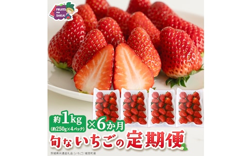 【定期便】旬ないちご品種おまかせ6ヶ月連続お届け便 （約250g×4パック）×6回【2026年12月から発送開始】（茨城県共通返礼品 [いちご]：城里町産） 果物 くだもの フルーツ イチゴ 苺 旬 品種おまかせ 人気 [FC105-NT]