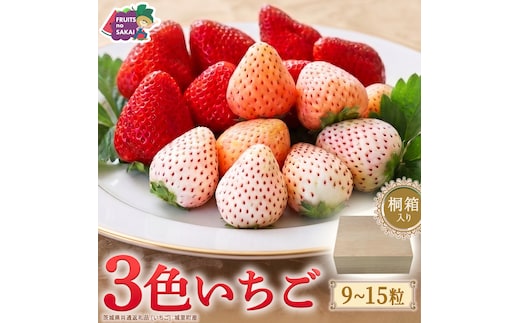【桐箱入り】3色いちご 9～15粒 【2027年1月から発送開始】（茨城県共通返礼品 [いちご]：城里町産） いちご イチゴ 苺 甘い 国産 人気 桐箱 贈答 贈り物 ギフト ふるさと納税 [FC102-NT]