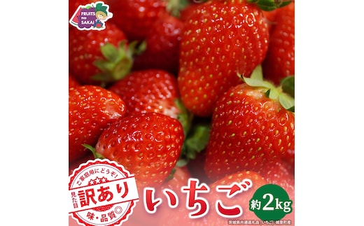 ＜ 訳あり ＞いちご 約2kg【2027年1月から発送開始】（茨城県共通返礼品 [いちご]：城里町産） いちご イチゴ 苺 訳あり 不揃い 家庭用 大容量 お得 ふるさと納税 [FC98-NT]