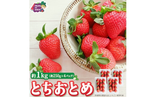 とちおとめ 約250g（15～18粒）×4パック【2026年12月から発送開始】（茨城県共通返礼品 [いちご]：城里町産） 茨城県 県産 人気 厳選 果物 くだもの 旬 旬の果物 旬のフルーツ ギフト 贈答 いちご イチゴ 苺 とちおとめ [FC94-NT]