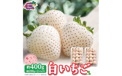 白いちご 約200g（15～18粒）×2パック【2027年1月から発送開始】（茨城県共通返礼品 [いちご]：城里町産） 茨城県 県産 人気 厳選 果物 くだもの 旬 旬の果物 旬のフルーツ フルーツ ギフト 贈答 いちご イチゴ 苺 白いちご [FC89-NT]