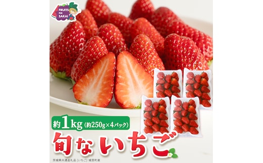 旬ないちご品種おまかせ（約250g×4パック）【2027年1月から発送開始】（茨城県共通返礼品 [いちご]：城里町産） 果物 くだもの フルーツ イチゴ 苺 旬 品種おまかせ 人気 [FC104-NT]