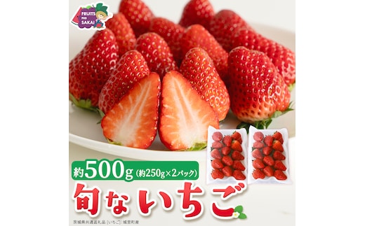 旬ないちご品種おまかせ（約250g×2パック）【2027年1月から発送開始】（茨城県共通返礼品 [いちご]：城里町産） 果物 くだもの フルーツ イチゴ 苺 旬 品種おまかせ 人気 [FC103-NT]