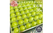 「粒々ぶどう36粒」シャインマスカットの宝石箱【令和6年8月より発送開始】（茨城県共通返礼品：かすみがうら市産） ぶどう ブドウ 葡萄 果物 フルーツ 茨城県産 [BI442-NT]