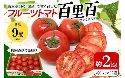 【数量限定 期間限定】 フルーツトマト（百里百）＜2026年1月出荷開始予定＞ 13-E