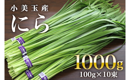 【数量限定・期間限定】 小美玉市産にら 100g×10束 17-AA