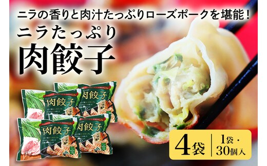 【数量限定】 ニラたっぷり肉餃子 4袋 17-AB