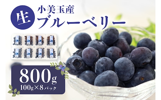 【数量限定・先行予約】 小美玉ブルーベリー ＜6月下旬～7月中旬発送予定＞ 17-AG