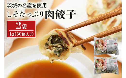 【数量限定】 しそたっぷり肉餃子 2袋 17-AN