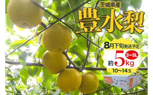 【数量限定 / 夏季限定】 梨（豊水） 約5kg 17-D