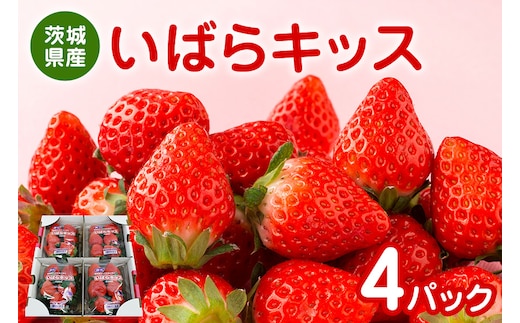 【数量限定・期間限定】 いちご いばらキッス 4パック 約1kg 17-P