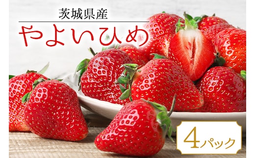 【数量限定・期間限定】 いちご やよいひめ 4パック 約1kg 17-T