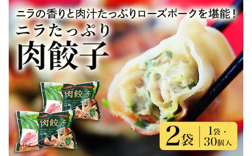【数量限定】 ニラたっぷり肉餃子 2袋 17-U