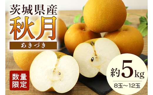 【数量限定 / 夏季限定】 梨（秋月） 約5kg 【9月上旬〜中旬発送予定】 17-X