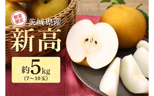 【数量限定 / 夏季限定】 梨（新高） 約5kg 【9月中旬～9月下旬頃発送予定】 17-Y