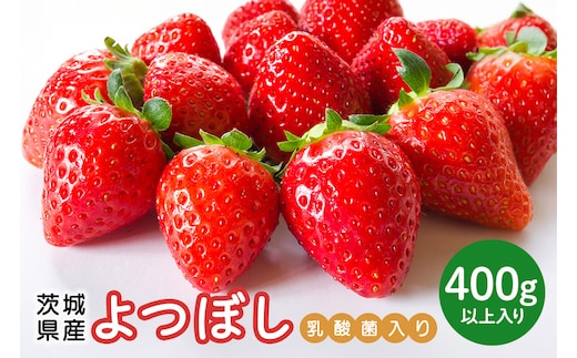 【先行予約・数量限定】よつぼし 『乳酸菌入りいちごパック』 400g以上入り 19-AL 【4/10～5/10順次発送予定】