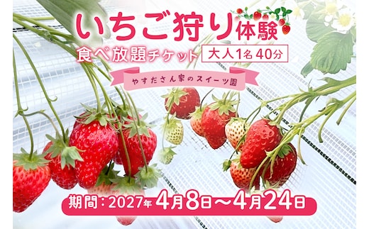 やすださん家のスイーツ園 いちご食べ放題1名40分食べ放題チケット 19-AM
