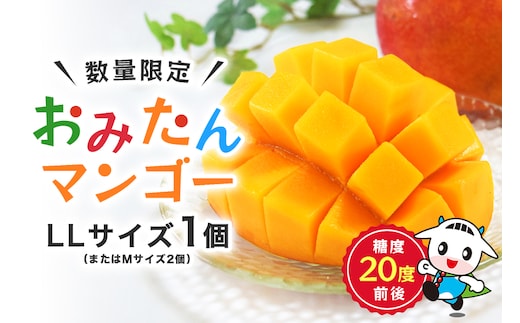 【数量限定・季節限定】 おみたんマンゴー 約550g 【7月20日～8月末まで順次発送予定】 19-I