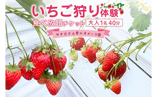 やすださん家のスイーツ園 いちご食べ放題 大人1名40分食べ放題チケット 19-F