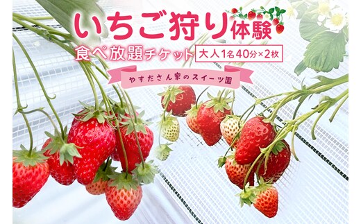やすださん家のスイーツ園 いちご食べ放題【ペアチケット】 大人1名40分食べ放題チケット×2 19-G