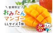 【数量限定・季節限定】 おみたんマンゴー 約450g 【7月20日～8月末まで順次発送予定】 19-D
