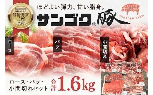 サンゴク豚 ロース・バラ・小間切れセット 1.6kg 2-M