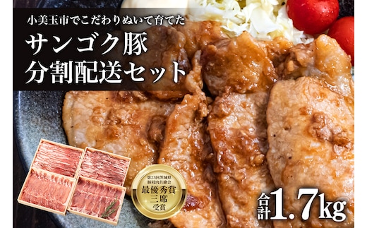 サンゴク豚（分割配送セット） 2-A