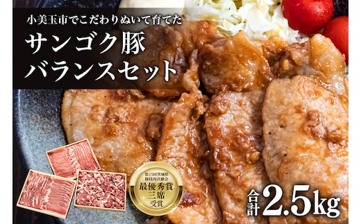 サンゴク豚（バランスセット） 2-B