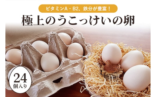 平飼い極上のうこっけいの卵（24個（20＋補償4個）） 37-A