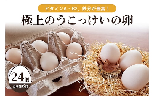 平飼い極上のうこっけいの卵（24個（20＋補償4個）×定期便6回） 37-B