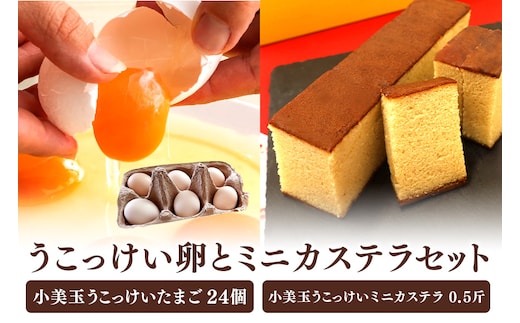 小美玉ミニカステラとうこっけい卵（24個（20＋補償4個））セット 37-N