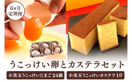小美玉カステラとうこっけい卵（24個（20＋補償4個））セット【6カ月定期便】 37-P