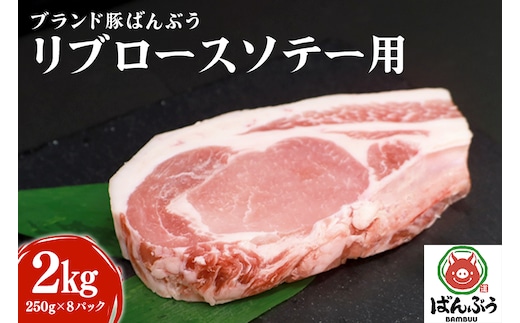 ブランド豚「ばんぶぅ」リブロース ソテー用 2.0kg(250g×8パック) 42-AL